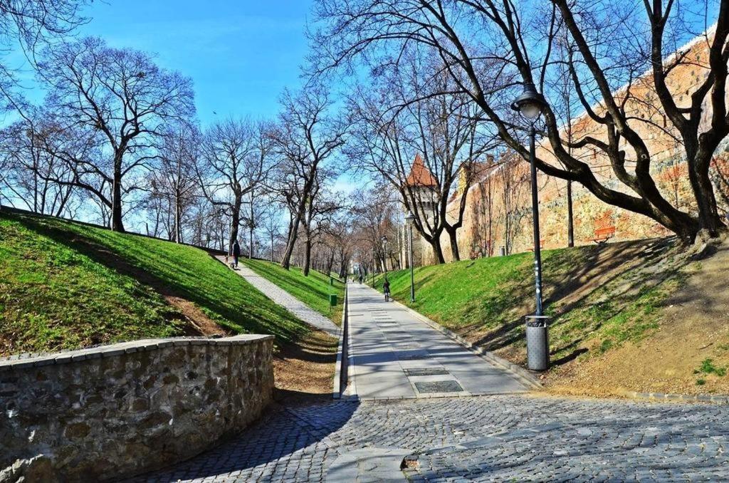 Kaya Home Сібіу Екстер'єр фото